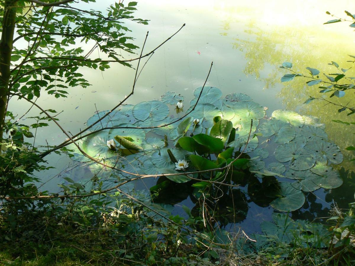 La Maison De L'Etang Sampigny Εξωτερικό φωτογραφία